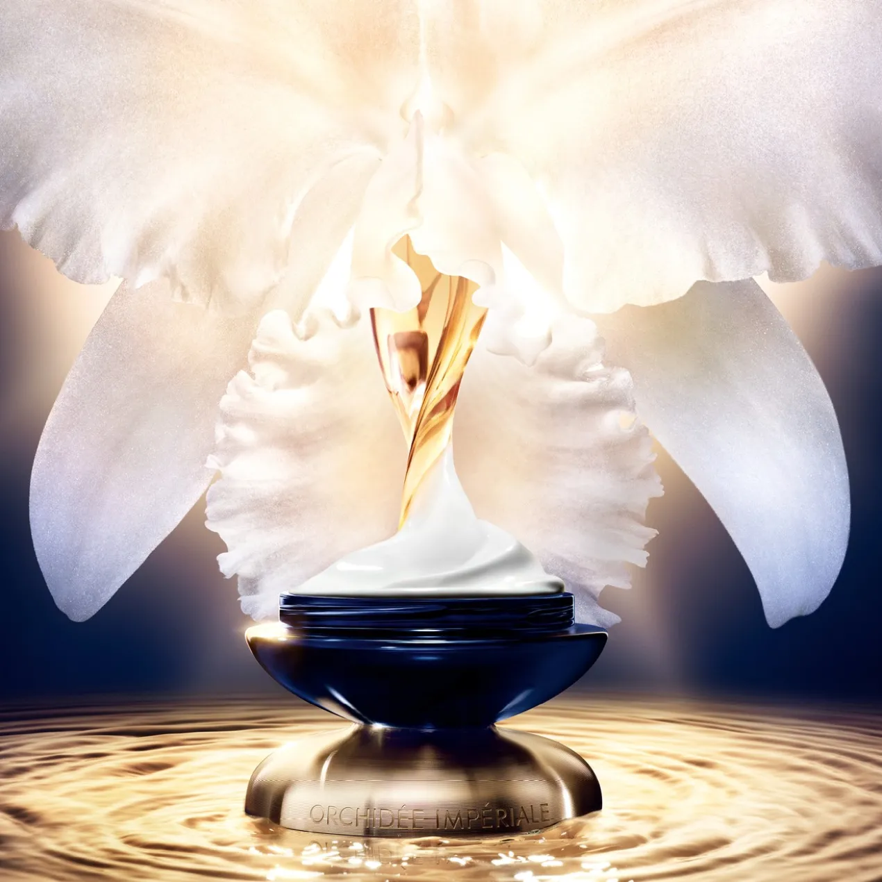 Orchidée Impériale A Creme Rico