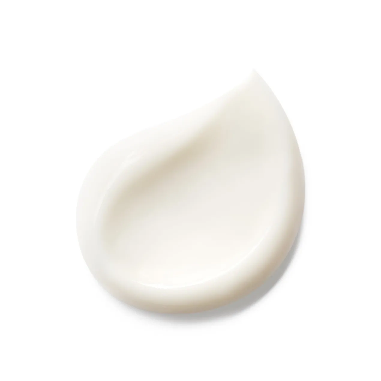 Orchidée Impériale A Creme Rico