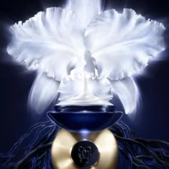 Orchidée Impériale La Crème Légère