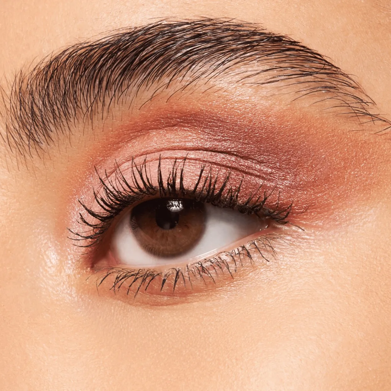 Paleta de Sombras The Rose Edition