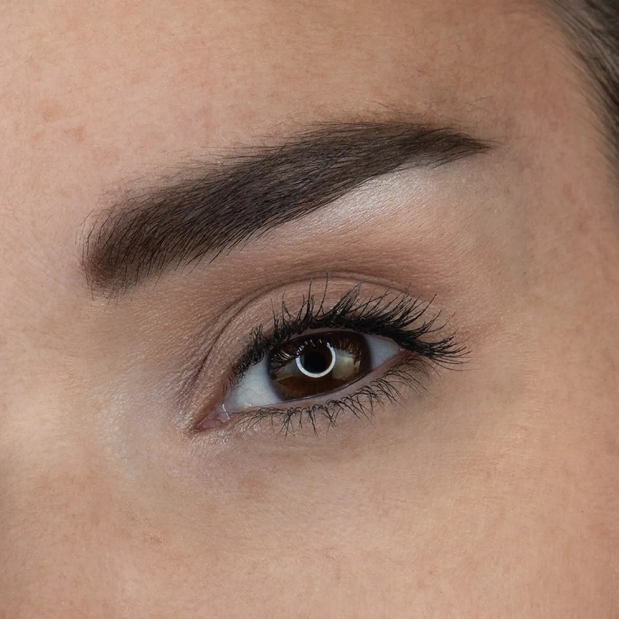 Paleta para Sobrancelhas Diva Brows