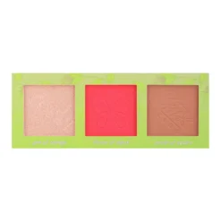 Paleta Winx Swirl Of Petals Rosto E Olhos #magicalpower