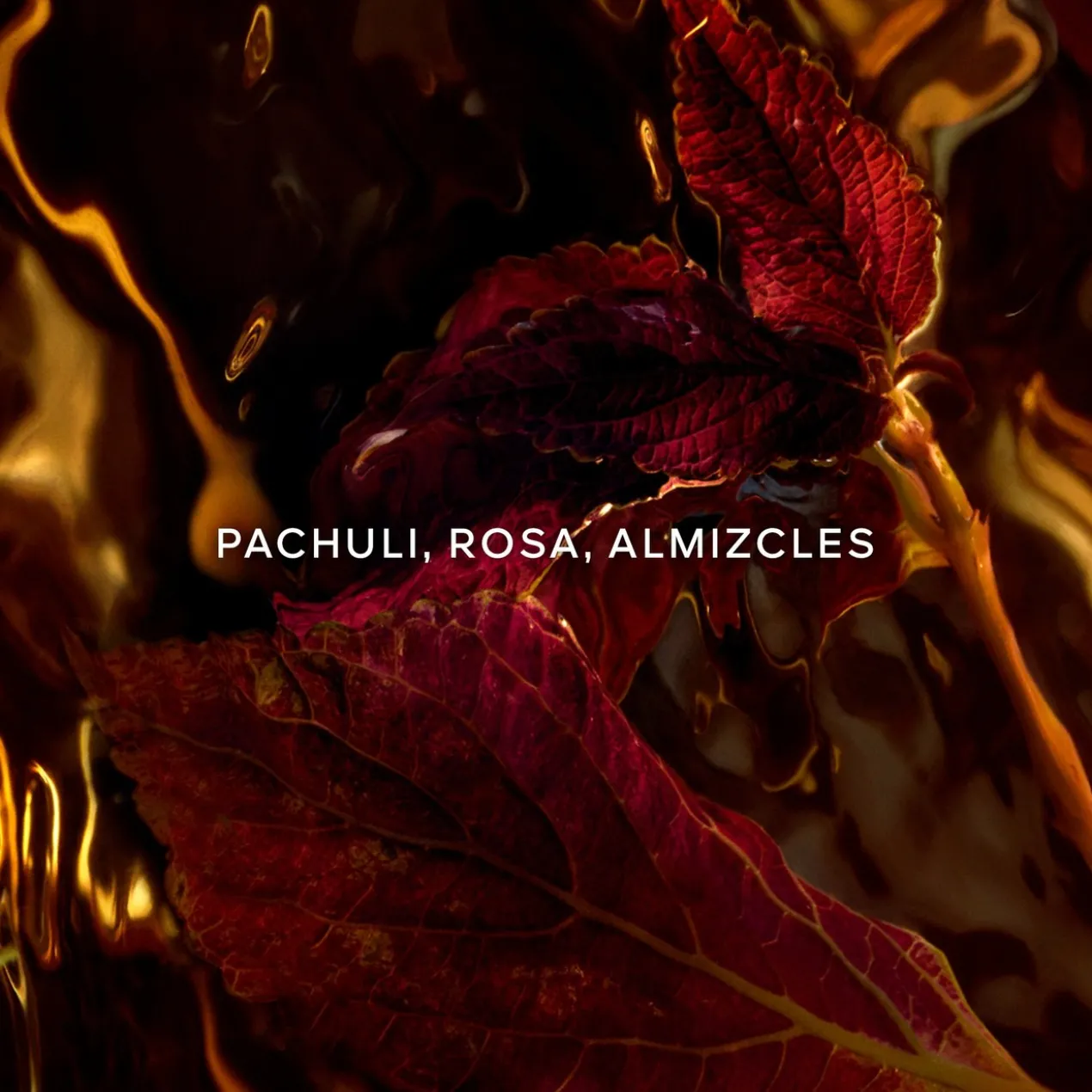 Patchouli Ardent Eau de Parfum