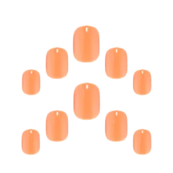 Petite Gel Finish Tulip Sunrise Unhas Postiças