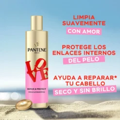 Pro-V Repara & Protege Miracle Champô Artist Edition