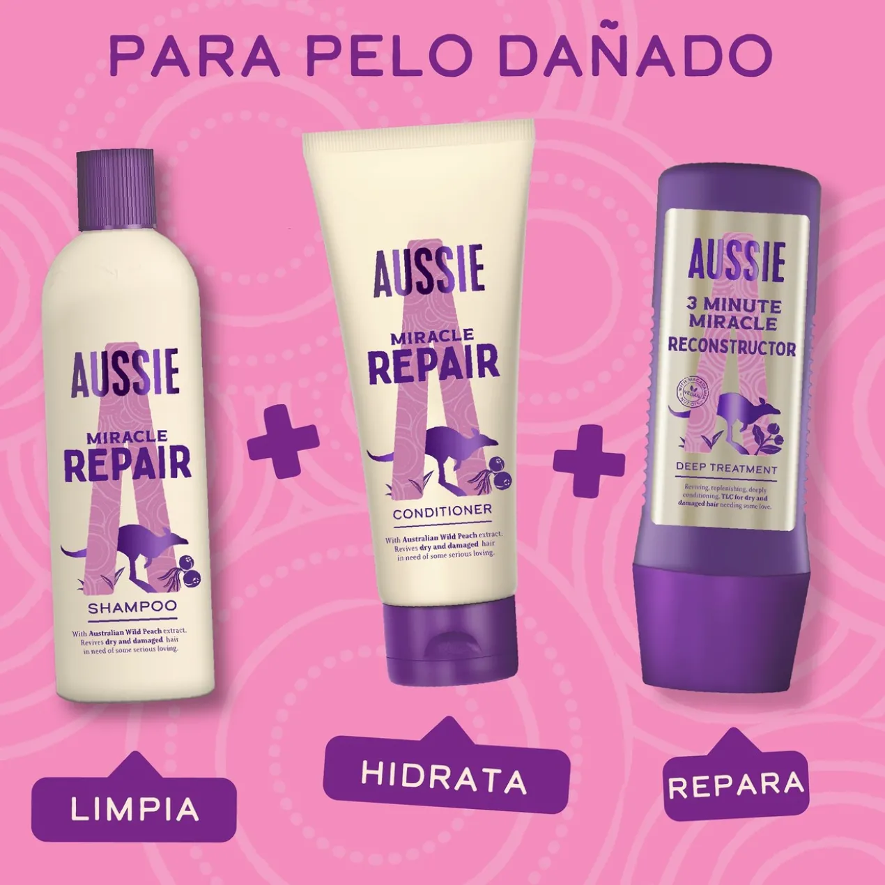 Repair Miracle Champô