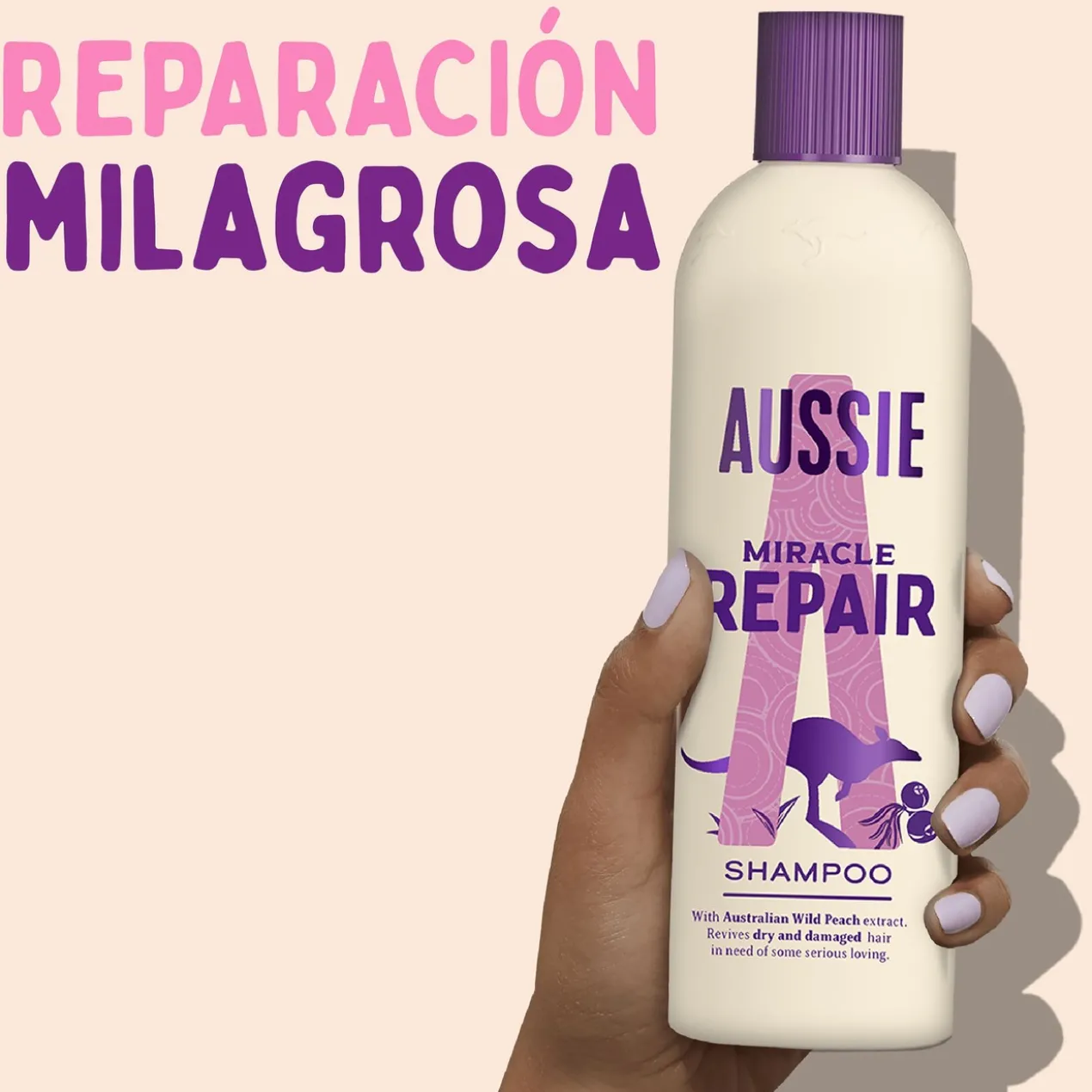 Repair Miracle Champô