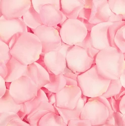 Rose Sugar Scrub Esfoliante Facial