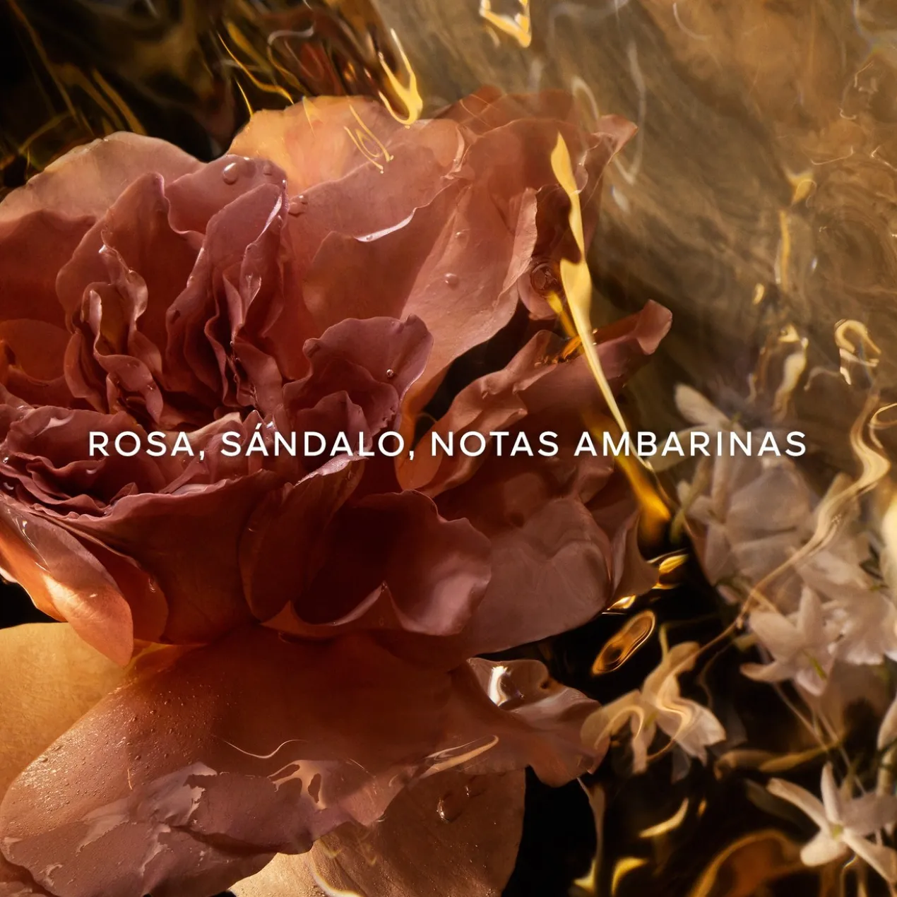 Santal Royal Eau de Parfum