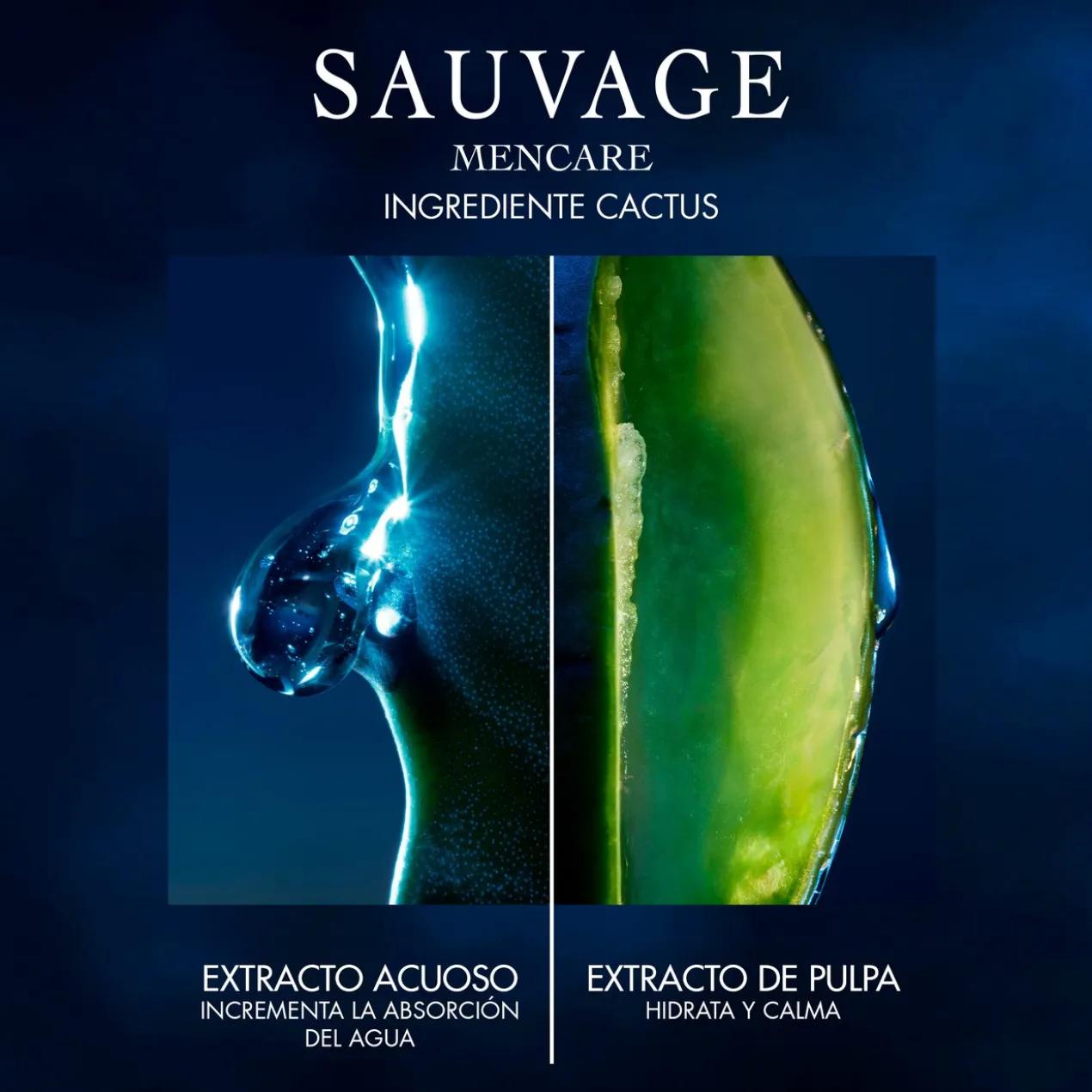 Sauvage Gel de Limpeza Facial