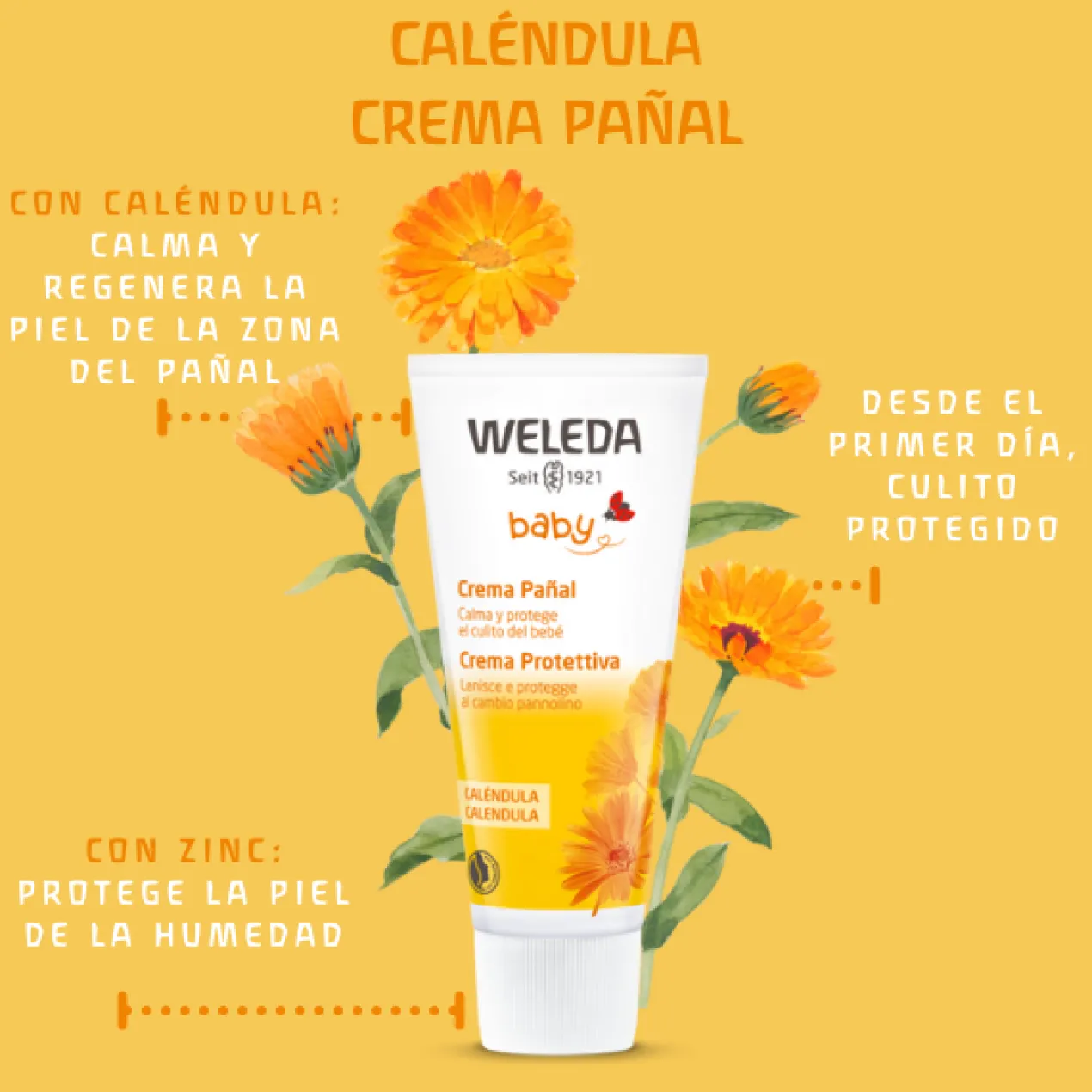 Set Bem-vinda Bebé