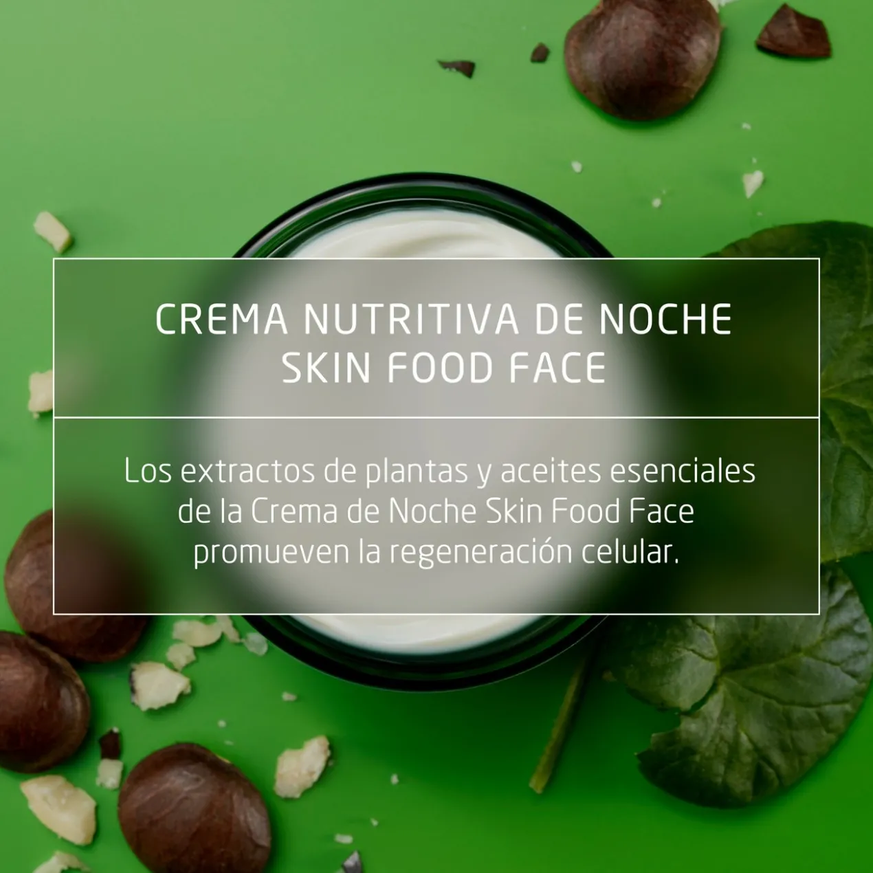 Skin Food Creme de Noite
