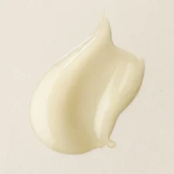 Sérum Antirrugas Ativo Plantscription Wrinkle