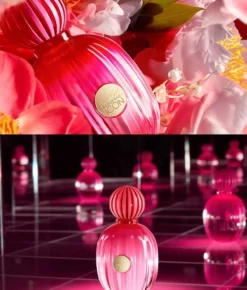 The Icon Woman Eau de Parfum