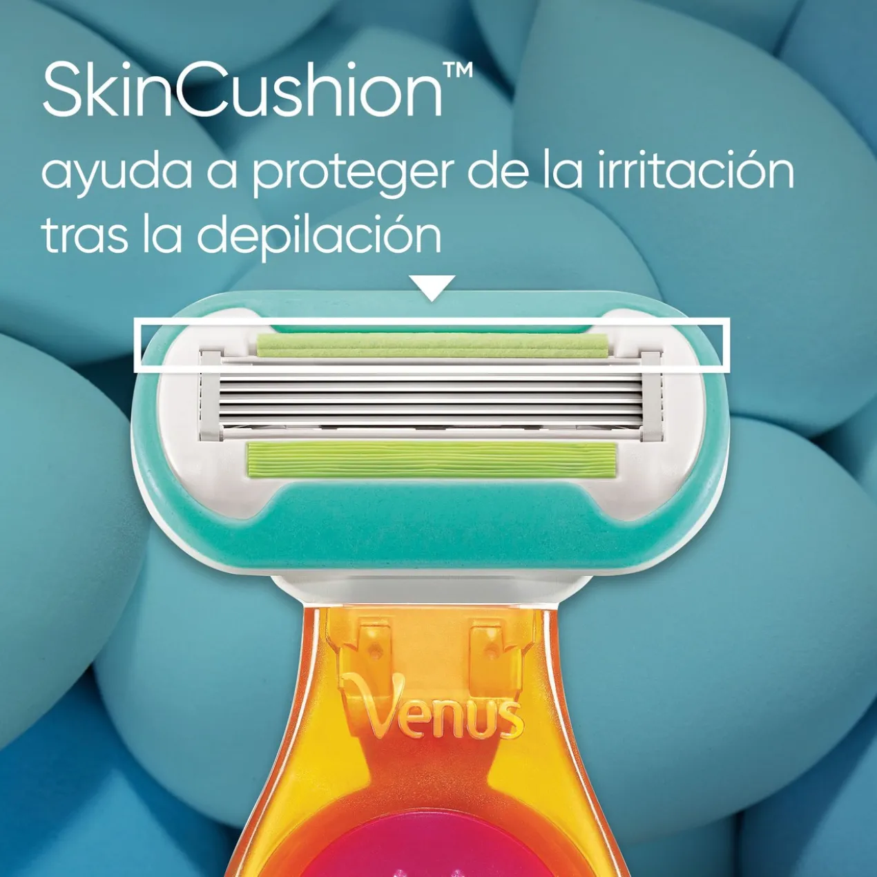 Venus Snap Recargas